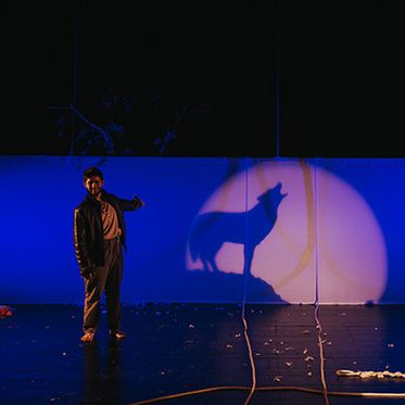 LA STORIA DI PIERINO E IL LUPO - MyArteven.it